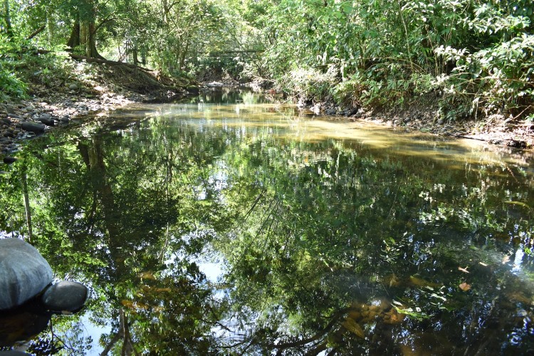 Sendero Ecológico La Hormiga Valle Del Guamuez Valle Del Guamuez La Hormiga Encuéntralo